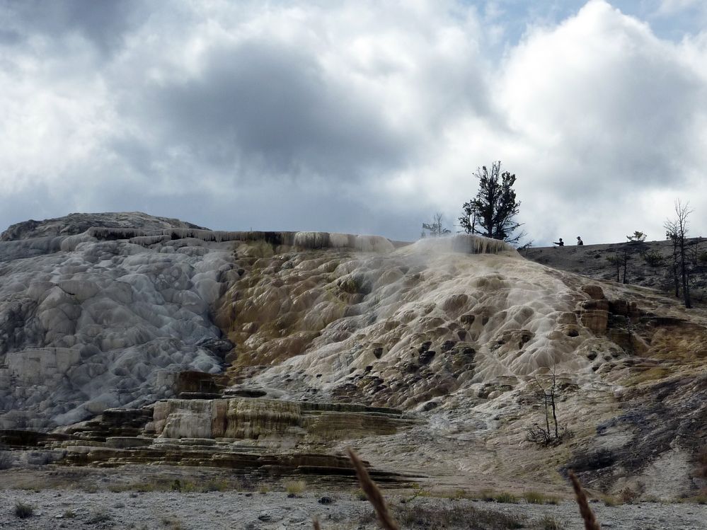 Yellowstone Mammoth Hotsprings (92).JPG